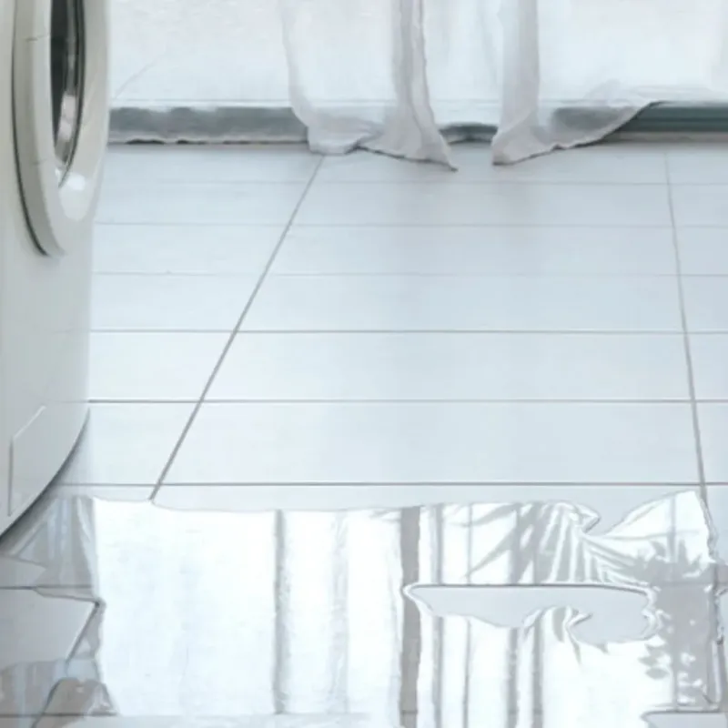 Appliance Leak Cleanup in Lemoore, CA